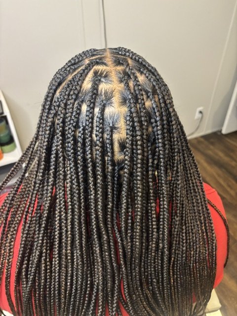 Knotless box braids
